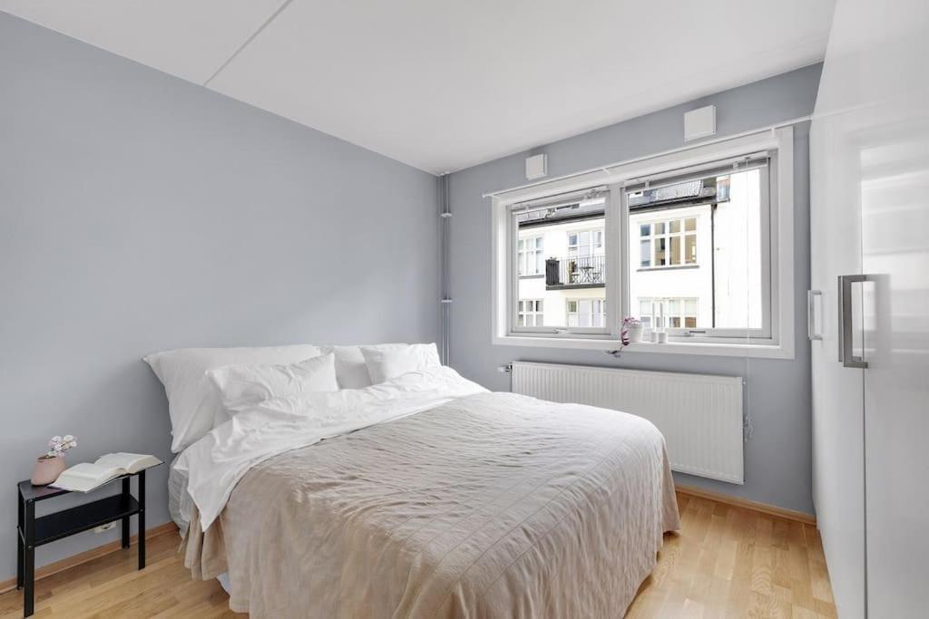 Moderne Og Vakker Leilighet, Sentrum *