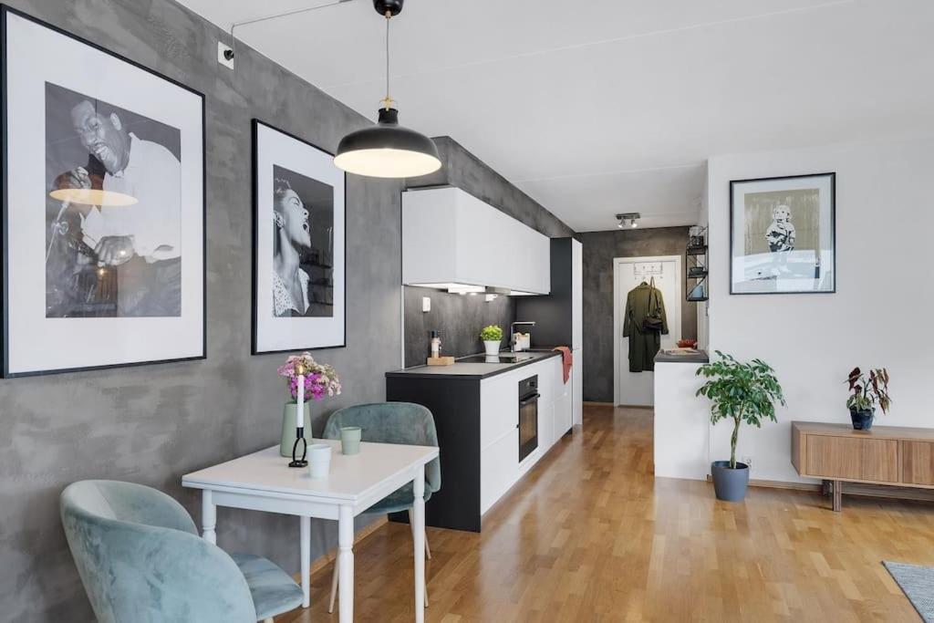 Apartamento Moderne Og Vakker Leilighet, Sentrum Oslo